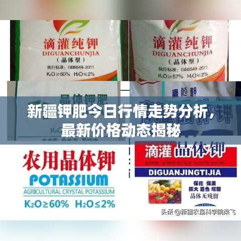 新疆钾肥今日行情走势分析，最新价格动态揭秘