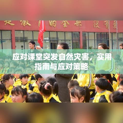 应对课堂突发自然灾害，实用指南与应对策略