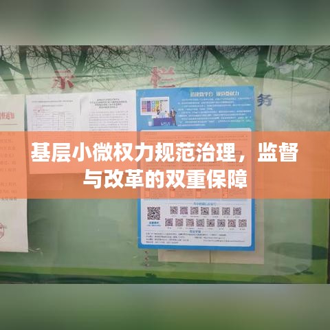 基层小微权力规范治理，监督与改革的双重保障