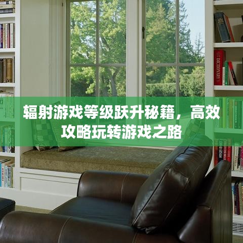 辐射游戏等级跃升秘籍，高效攻略玩转游戏之路