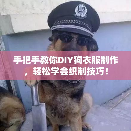 手把手教你DIY狗衣服制作，轻松学会织制技巧！