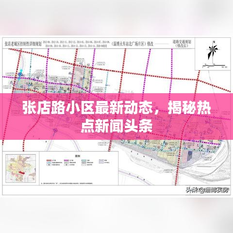 张店路小区最新动态，揭秘热点新闻头条