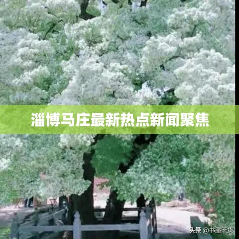 淄博马庄最新热点新闻聚焦