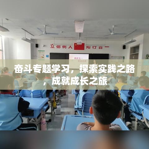 奋斗专题学习，探索实践之路，成就成长之旅