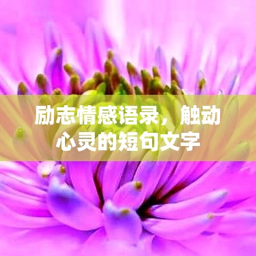 励志情感语录，触动心灵的短句文字