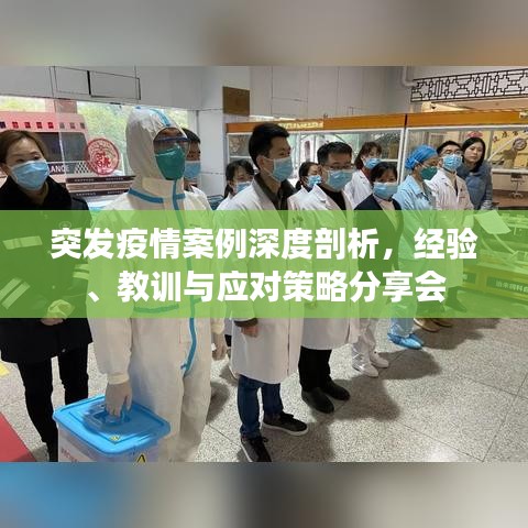 突发疫情案例深度剖析，经验、教训与应对策略分享会
