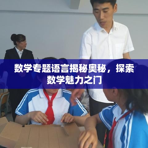 数学专题语言揭秘奥秘，探索数学魅力之门