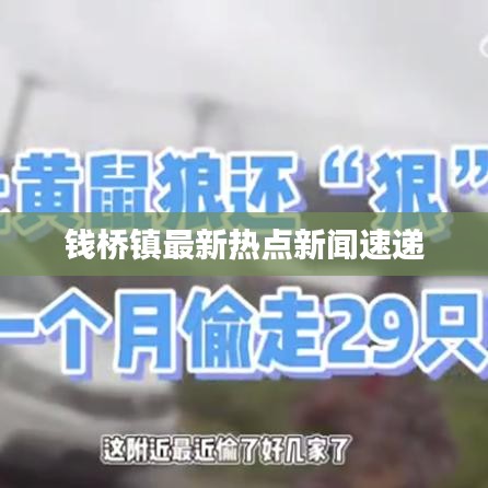 钱桥镇最新热点新闻速递