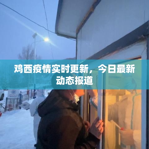 鸡西疫情实时更新，今日最新动态报道