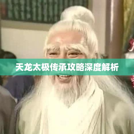 天龙太极传承攻略深度解析