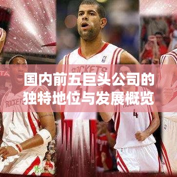 国内前五巨头公司的独特地位与发展概览