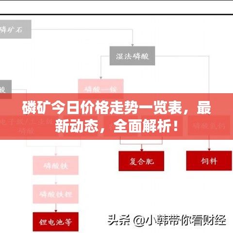 磷矿今日价格走势一览表，最新动态，全面解析！