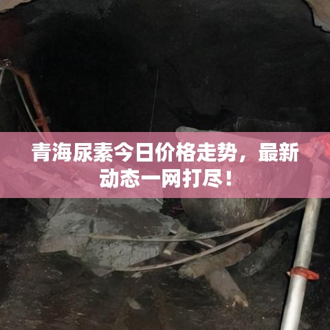 青海尿素今日价格走势，最新动态一网打尽！