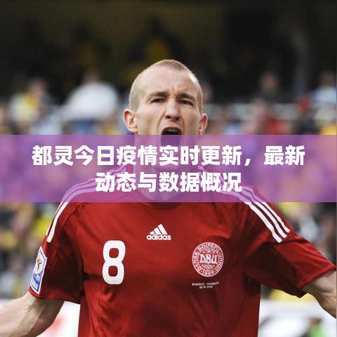 都灵今日疫情实时更新，最新动态与数据概况