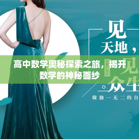 高中数学奥秘探索之旅，揭开数学的神秘面纱