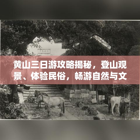 黄山三日游攻略揭秘，登山观景、体验民俗，畅游自然与文化的盛宴！
