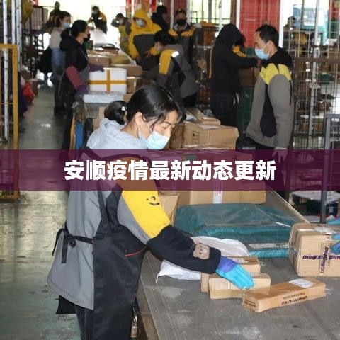 安顺疫情最新动态更新