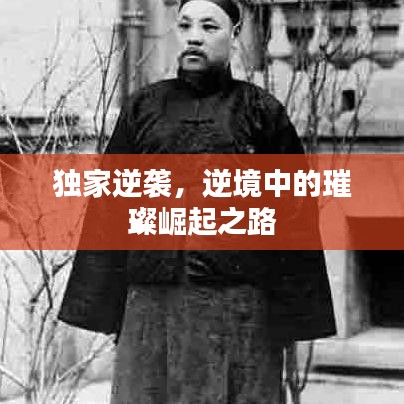 独家逆袭，逆境中的璀璨崛起之路