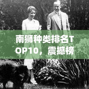 南狮种类排名TOP10，震撼榜单，不容错过！