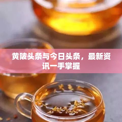 黄陂头条与今日头条，最新资讯一手掌握