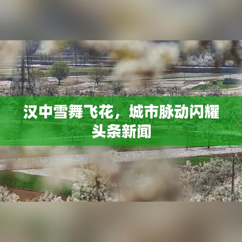 汉中雪舞飞花，城市脉动闪耀头条新闻