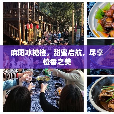 麻阳冰糖橙，甜蜜启航，尽享橙香之美