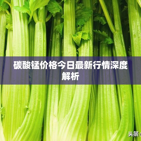 碳酸锰价格今日最新行情深度解析