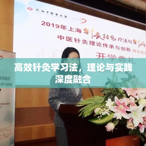 高效针灸学习法，理论与实践深度融合