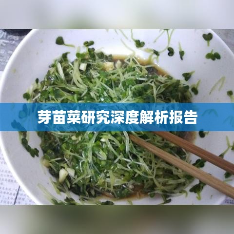 芽苗菜研究深度解析报告