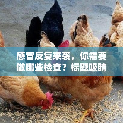 感冒反复来袭，你需要做哪些检查？标题吸睛，百度收录标准