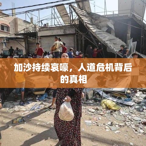 加沙持续哀嚎，人道危机背后的真相