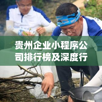 贵州企业小程序公司排行榜及深度行业洞察揭秘！