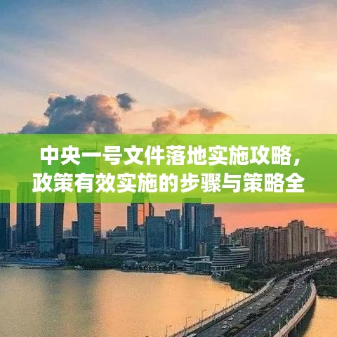 中央一号文件落地实施攻略，政策有效实施的步骤与策略全解析