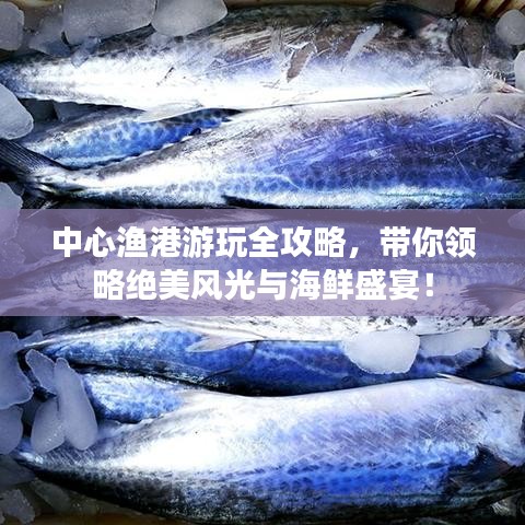 中心渔港游玩全攻略，带你领略绝美风光与海鲜盛宴！