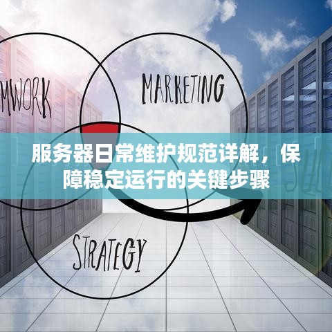 服务器日常维护规范详解，保障稳定运行的关键步骤