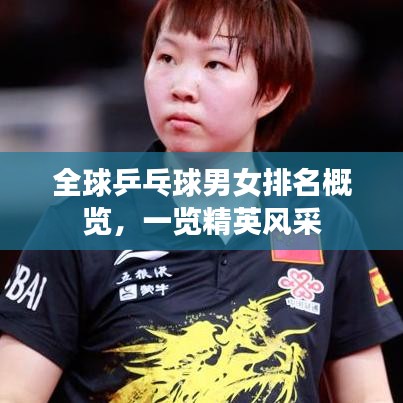 全球乒乓球男女排名概览，一览精英风采