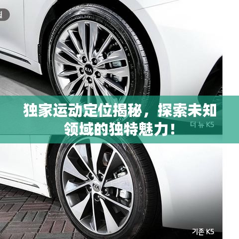 独家运动定位揭秘，探索未知领域的独特魅力！