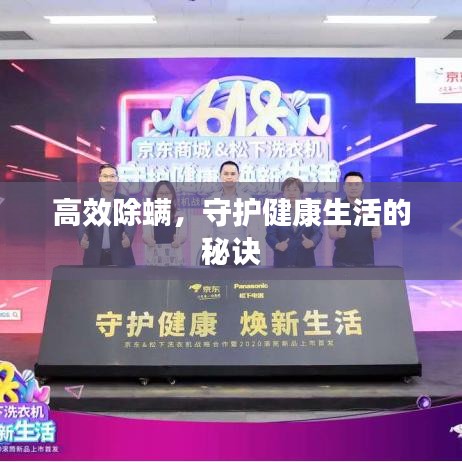 高效除螨，守护健康生活的秘诀