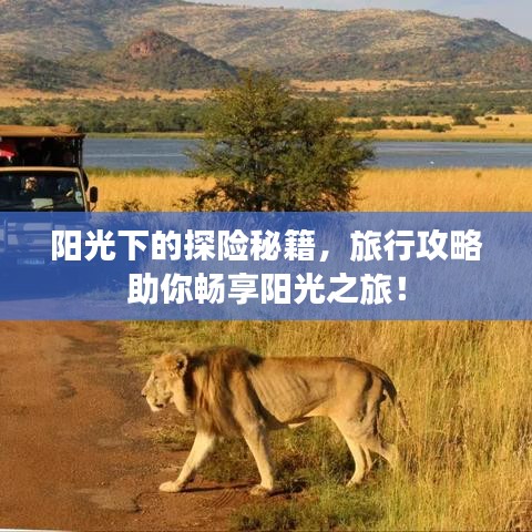 阳光下的探险秘籍，旅行攻略助你畅享阳光之旅！