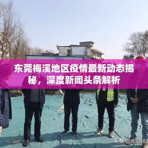 东莞梅溪地区疫情最新动态揭秘，深度新闻头条解析