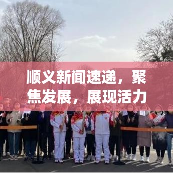 顺义新闻速递，聚焦发展，展现活力与创新风采