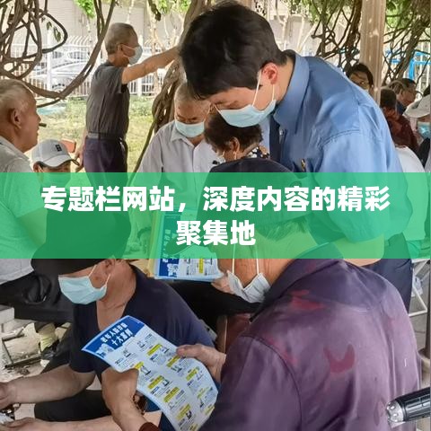 专题栏网站，深度内容的精彩聚集地