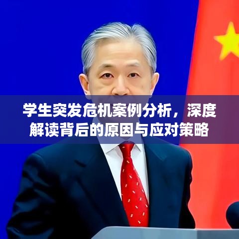 学生突发危机案例分析，深度解读背后的原因与应对策略