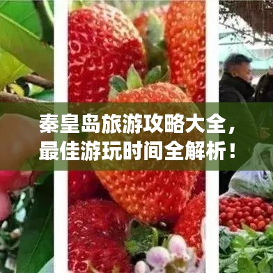 秦皇岛旅游攻略大全，最佳游玩时间全解析！
