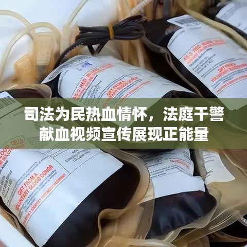 司法为民热血情怀，法庭干警献血视频宣传展现正能量