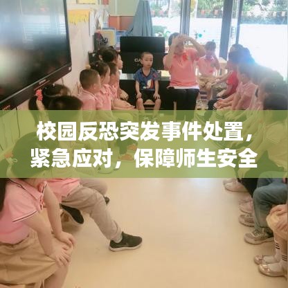 校园反恐突发事件处置，紧急应对，保障师生安全
