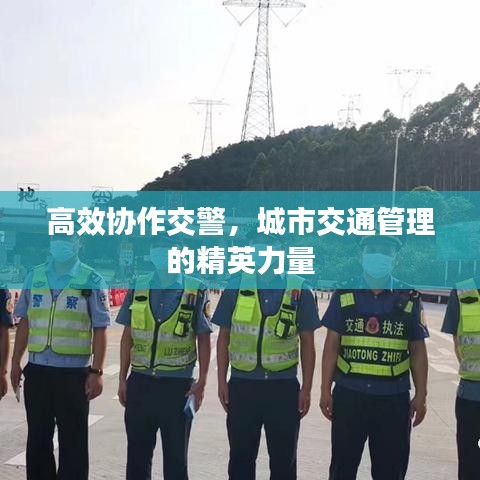 高效协作交警，城市交通管理的精英力量