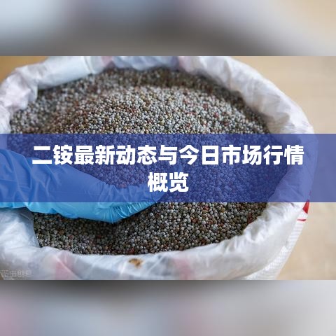 二铵最新动态与今日市场行情概览