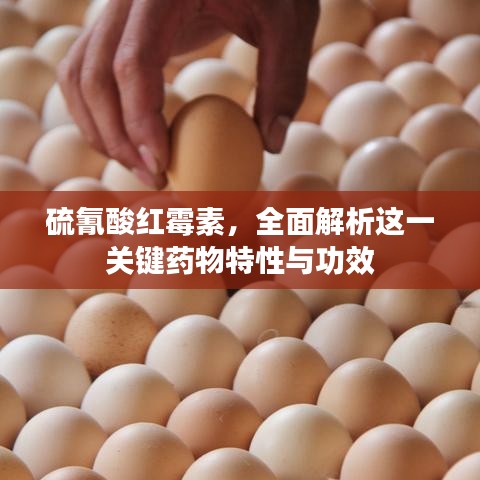 硫氰酸红霉素，全面解析这一关键药物特性与功效