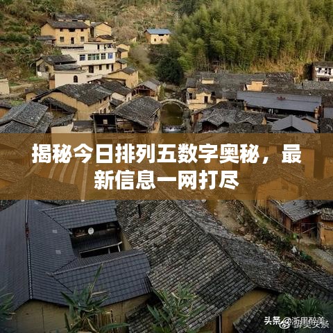 揭秘今日排列五数字奥秘，最新信息一网打尽